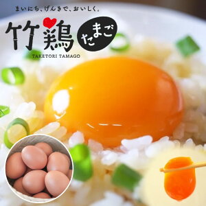 yP5{ 111:59z |{܂iԋʁj 6 10 20 30 |{t@[ {錧Y Y ԗ  ^}S {  |{ Mtg 蕨 y/sz