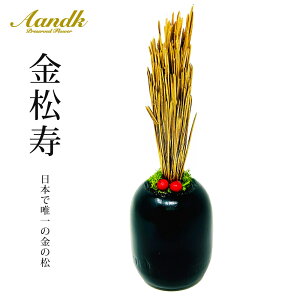  vU[uht[   sv KDM-004 ysz