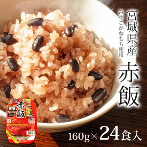 Ԕ pbN 160g×24H {錧Y ݂₱˂gp pbN `     Â NHi Mtg v[g z j H 4512412335848