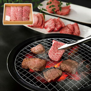 󏭕ʏēZbg OpogEKV(500g) ㋍ Mtg v[g 蕨  J ysz