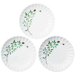  OgXM  Mtg v[g 蕨  J ysz