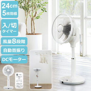 @ DC[^[ 24cm 5H /؃^C}[ 8iK T[L[^[ 90° px Cz Rt U u ~j ^ rO@ rOt@ ȃGl DC