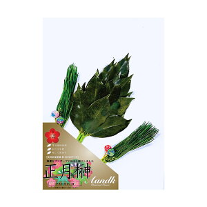 S ti΁j { 肢炸  ۑ\ Y H SKK-014S ysz