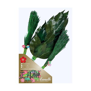 M ti΁j { 肢炸  ۑ\ Y H SKK-015M ysz