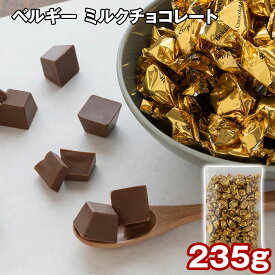 ベルギー ミルクチョコレート 235g チョコレート 個包装 チョコ チョコレート ミルクチョコレート ミルクチョコ 常温 個包装 洋菓子 お菓子 ギフト 贈り物 プレゼント 【代引不可】