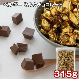 ベルギー ミルクチョコレート 315g チョコレート 個包装 チョコ チョコレート ミルクチョコレート ミルクチョコ 常温 個包装 洋菓子 お菓子 ギフト 贈り物 プレゼント 【代引不可】