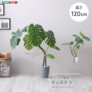 ϗtA tFCNO[ Xe STCY(120cm) t i lHϗtA ȒP sv A 썑  CeA  rO ItBX j v[g