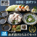 長崎産 泳ぎ活け とらふぐセット3-4人前 てっさ てっちり ふぐ刺身 ふぐ皮 冷蔵 お中元 夏ギフト 神戸中央市場直送