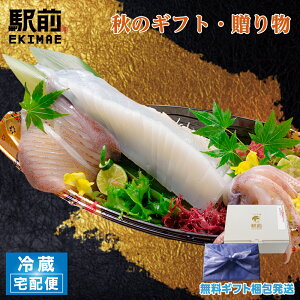 yHMtgzy①zYpiMMł͂܂jhg  M