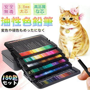 高級 色鉛筆【美大生も愛用!180色のプロ仕様】 色鉛筆 油性 塗り絵 大人 子供 プレゼント スケッチ デッサン 水彩 画材 美術 アート 学生 ぬり絵 色えんぴつ ハッチング ぼかし 点描 イラス