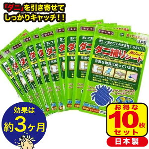 _j߂V[g zc yM̓{_j΍z _jV[g _jzCzC _j߂V[g xbh M[TCY 10Zbg _jB}100 _j߂V[g ȃ_j΍Ƀ_j