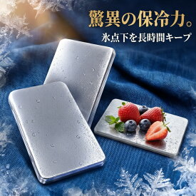 【2026年モデル】 【当日出荷】 アイスパック 氷嚢 氷のう ステンレス 保冷剤 長時間 繰り返し使える コンパクト クーラーボックス 花見 アウトドア お弁当 クール ひんやりアイスパック 薄型 急速凍結 冷却 BBQキャンプ 釣り 防災 ドリンクコースター 保冷パッグ