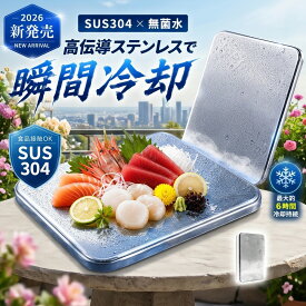 【2026年モデル】 【当日出荷】 アイスパック 氷嚢 氷のう 強力保冷剤 ステンレス保冷剤 ひんやり 長時間キープ 長時間 保冷剤 ステンレス お弁当 長持ち 強力保冷 小型 軽量 クーラーボックス 繰り返し使える 冷却グッズ 冷蔵 冷凍対応 急速冷却 夏の冷却対策