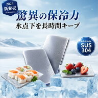 【2026年モデル】 【当日出荷】 【SNS大人気！ステンレス保冷剤】 アイスパック 氷嚢 氷のう 保冷プレー…