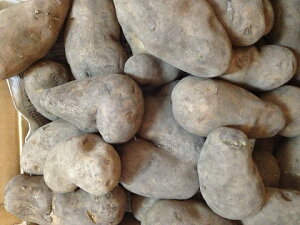 2024H n kCY Ⴊ 10kg [NC  󂠂 KiO 10kg  A2000~_ L@ȏɗEC_@ lߍ킹 傫 CNC[ kC 10L WKC 