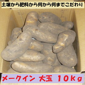 楽天市場 じゃがいも 種芋の通販