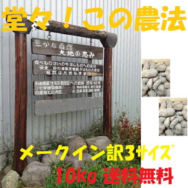 楽天市場 じゃがいも 種芋 販売の通販