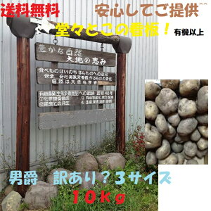 yz2024Hn _͔| j kC Ⴊ  ό` KiO 3TCY  10kg kCY L@ȏɗEC_@ Hp  VႪ VႪ 10L WKC j