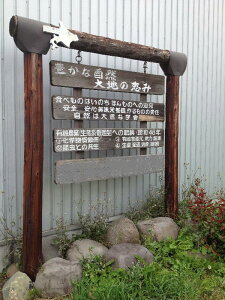 2024 n CNC[ 3TCY  M`2L  A2000~upkCY Ⴊ 10L _ L@  ό` 󂠂 KiO kC VႪ VႪ lߍ킹 [NC W