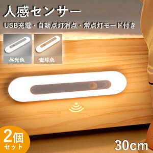 y2ZbgzlZT[iCgCg LEDZT[Cg USB[d 30cm LEDl iK \t  ԗp _  ^ y ZT[Cg ⏕Ɩ zsv ȒP