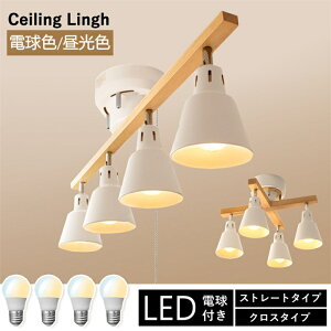 y݌Ɉ|@P10{zd4 V[OCg 4 F E26 Lz 60` 6 F dF Cg X|bgCg V[OX|bgCg k rO y_gCg V 