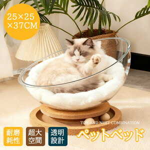 ySX5%OFFN[|zLxbh LnEX  ؐ FD Lpxbh ybgxbh xbh L炵 ʔN LpV[g V[g LpybgnEX XgX Lpi V[X[ 