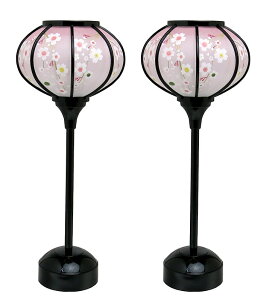 yᓴzLED R[hX uvsN{JV 29cm drLED