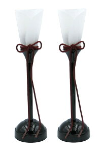  R[hX LED 21 drLED
