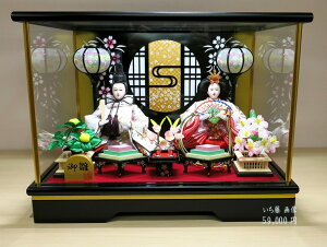 ɎqP[Xe iт΂tj Hq l` ЂȐl` RpNg P[X 10l 