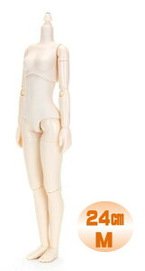 yIrc24z 24cm Irc{fB oXgM zCeB 24BD-F02W-M