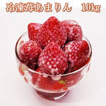 楽天市場】10kg（いちご｜フルーツ・果物）：食品の通販