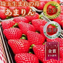 【農園直送】あまりん 2パック 500グラム 16粒〜30粒 いちご イチゴ 苺 送料無料 埼玉県産 深谷市産