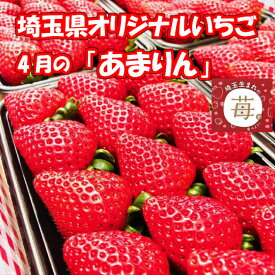 楽天市場 冷蔵庫 野菜室 いちご フルーツ 果物 食品の通販