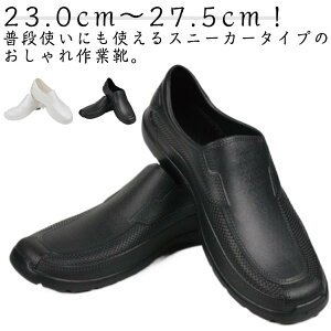 Y jp HiHp CV[Y fB[X RbNV[Y ƌC h ʊw ɂ Ɩp Lb` ~[  ƌC ʊw ϖ \tgRbNV[Y HX K[fj