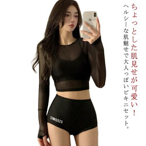 ^Lj ̌^Jo[  bVK[h fB[X rLj TVc 傫TCY 3_Zbg 30 Zp[g bVK[h V[gpc n ̎q t  PKh~ nCEGX