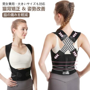  pT|[^[ j Lw q pxg Lw xg  xg Lwxg   Ci[ Y ڗȂ 傫TCY fB[X w؋xg  p