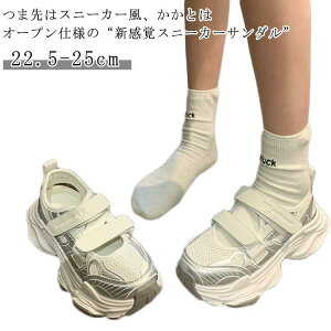 Xj[J[T_ C  X|[cT_ fB[X Xj[J[ y Xj[J[ xN Xj[J[ T_ ₷ T_ T_ bV V[Y ʋC 