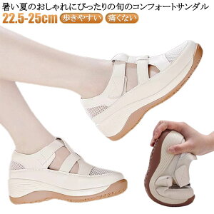 ₷ fB[X AEghA X|[cT_ RtH[g  T_  Xj[J[T_ C T_ X|TC T_ ɂȂ OJT_ C  