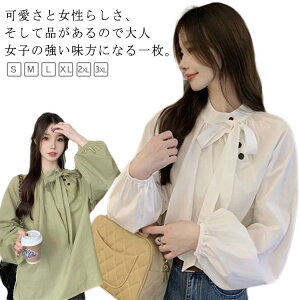 { uEX t Vc Ǝ H fB[X gbvX    {E^C Zj[X[c {uEX   H ~ t IV Vc 􂦂 30 40 50