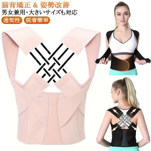 pxg xg Y   傫TCY  Lw Lwxg xg  q j  Lw Ci[ fB[X w؃T|[^[ w؋xg ڗȂ