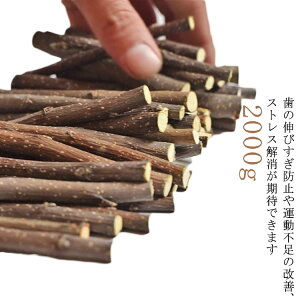 񂲂̖  񂲎} ނ  2000g nX^[  X ɍ׎} } VR  F Y bg ETM 2000g nlY~ a ̐Lтh~ ^s