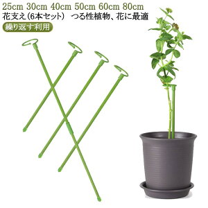 観葉支柱 つる性植物 6本セット 園芸支柱 花ささえ 植物支柱 支柱 誘引 花支え 植物サポート フラワースタンド フラワー支柱 花支え ガーデニング 農業用 園芸用 野菜用 観賞植物用 家庭菜園