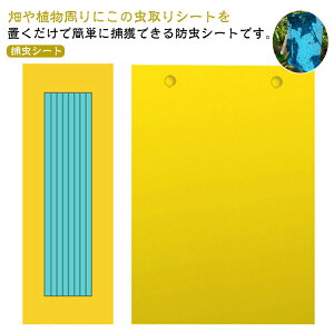 nG莆 SV[g 悯 y40Zbgz RoG 쏜 Sgbv RoG V[g y40Zbgz QߊlS ʔS S}bg ߒV[g ߒV[g OΉ