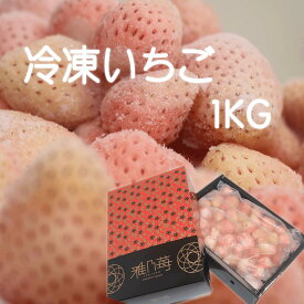 【雅乃苺】淡雪 冷凍ブランドイチゴ1kg 国産 いちごジャム/いちごミルク/シャーベット/スムージー/かき氷/いちごソース/ブランドいちご/調理/料理/フルーツ/おやつ/ケーキ/家庭用/完熟/アイス/父の日/お中元/業務用