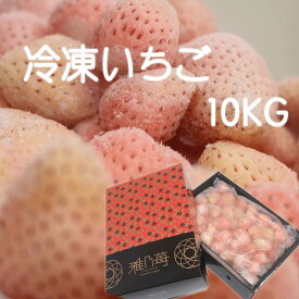 【雅乃苺】淡雪 冷凍ブランドイチゴ10kg 国産 いちごジャム/いちごミルク/シャーベット/スムージー/かき氷/いちごソース/ブランドいちご/調理/アイス/父の日/お中元/化粧箱/業務用