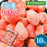 【熊本県産】淡雪 冷凍イチゴ 10kg 国産 ブランドイチゴ いちごジャム/いちごミルク/シャーベット/スムー…