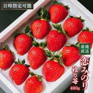 厳選高級いちご「恋みのり」12〜15粒入-380g 熊本県産 雅乃苺 送料無料 母の日 ギフト 日時指定可能 産地…