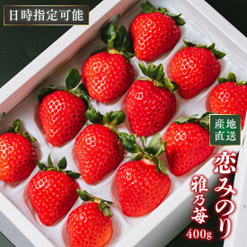 【初売り苺】厳選高級いちご「恋みのり」12〜15粒入-380g 熊本県産 雅乃苺 送料無料 ギフト 日時指定可能 産地直送 ホワイトデー 贈答用 完熟 贈答用 高級 誕生日 お供え 果物 フルーツ 1パック 2パック 熨斗 美味しい 甘い 糖度 贈り物 サプライズ 出産祝い
