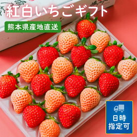 紅白いちごギフトボックス 紅白いちご 20粒/ギフト/母の日/フルーツ/フルーツギフト/食べれるギフト/贈り物/身内へのギフト/熨斗/プレゼント/産地直送