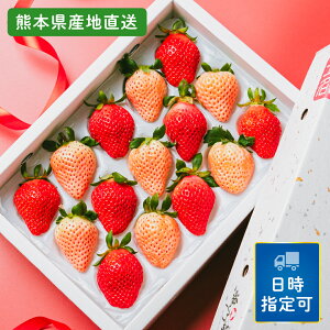 Mtg{bNX g 12`15380g/Mtg/̓/t[c/t[cMtg/HׂMtg/蕨/gւ̃Mtg/l/v[g/ԑ/vU[uht[/J[l[